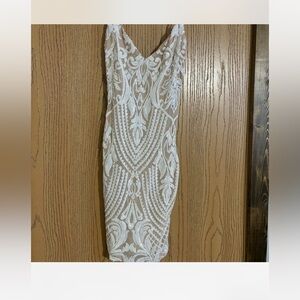 Windsor Nude and Ivory Lace Dress